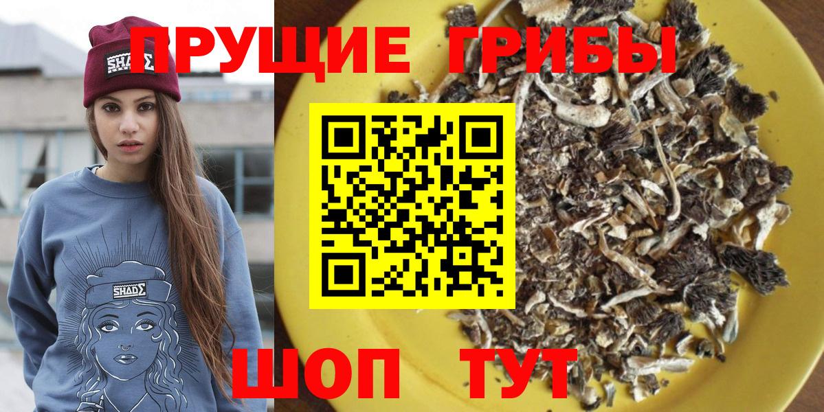 Галлюциногенные грибы мухоморы  Галлюциногенные грибы мухоморы  Вход с VPN  Аргун 