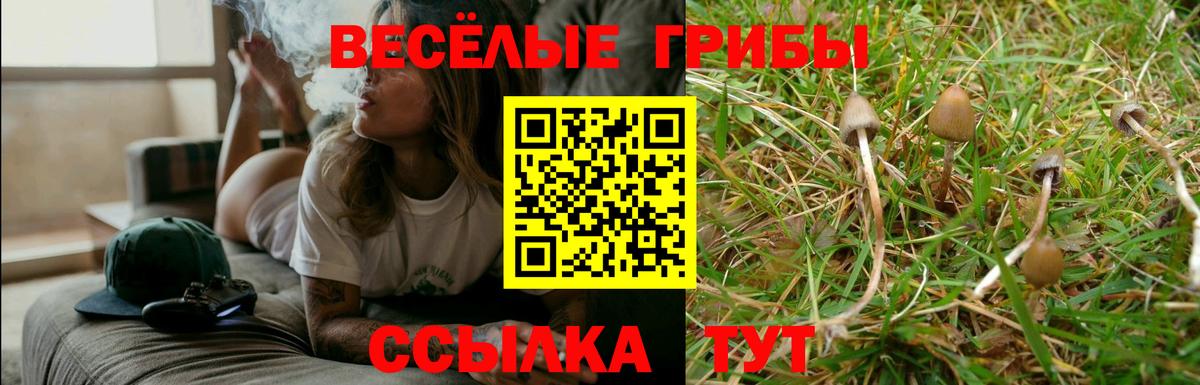 Галлюциногенные грибы GOLDEN TEACHER Аргун